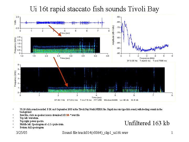 Unknown staccato sound